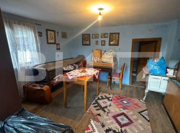 Casa de vânzare 3 camere Targu Lapus - 191028CV | BLITZ Baia Mare | Poza22