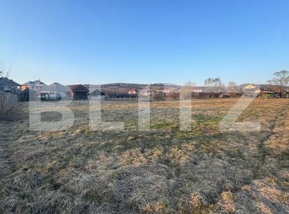 Casa de vânzare 3 camere Targu Lapus - 191028CV | BLITZ Baia Mare | Poza9