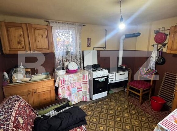 Casa de vânzare 3 camere Targu Lapus - 191028CV | BLITZ Baia Mare | Poza23