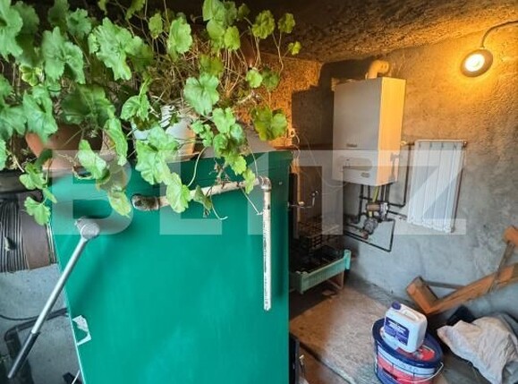 Casa de vânzare 3 camere Targu Lapus - 191028CV | BLITZ Baia Mare | Poza24