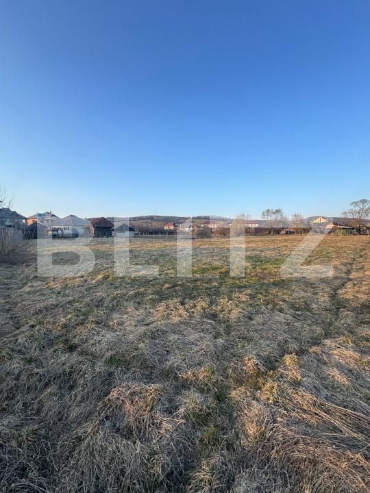 Casa de vânzare 3 camere Targu Lapus - 191028CV | BLITZ Baia Mare | Poza9