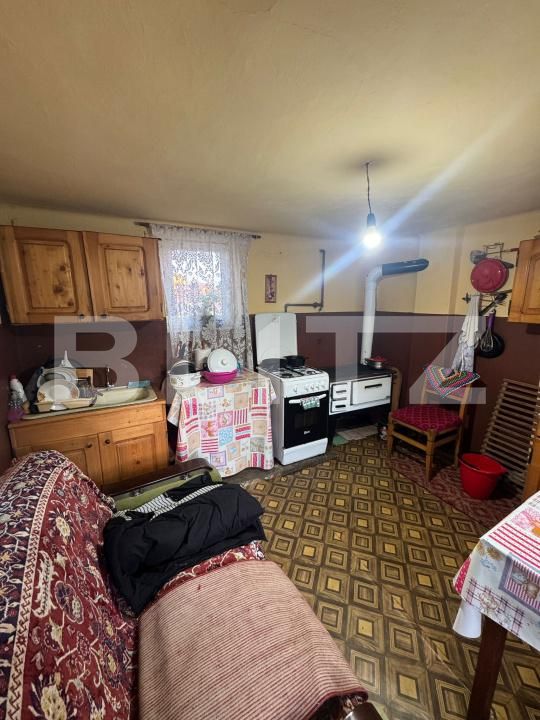 Casa de vânzare 3 camere Targu Lapus - 191028CV | BLITZ Baia Mare | Poza23