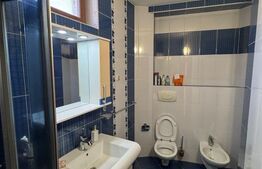 Vilă 336 mp utili, garaj 2 mașini, teren 380 mp, zona Griviței