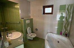Vilă 336 mp utili, garaj 2 mașini, teren 380 mp, zona Griviței