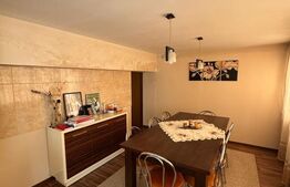 Vilă 336 mp utili, garaj 2 mașini, teren 380 mp, zona Griviței