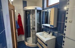 Vilă 336 mp utili, garaj 2 mașini, teren 380 mp, zona Griviței