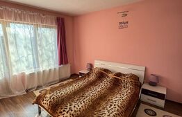 Vilă 336 mp utili, garaj 2 mașini, teren 380 mp, zona Griviței