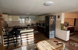 Vilă 336 mp utili, garaj 2 mașini, teren 380 mp, zona Griviței