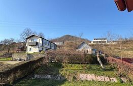 Vilă 336 mp utili, garaj 2 mașini, teren 380 mp, zona Griviței