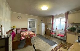 CASA in Seini Ideală pentru cei care caută liniște, spațiu și confort modern!