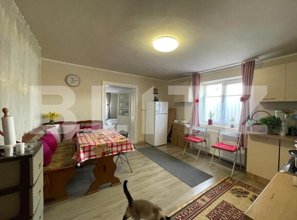 Casa de vânzare 2 camere Seini - 191109CV | BLITZ Baia Mare | Poza14