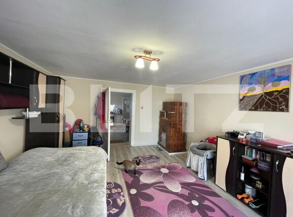 Casa de vânzare 2 camere Seini - 191109CV | BLITZ Baia Mare | Poza18