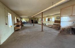 Oportunitate Investitie Ocna Sugatag