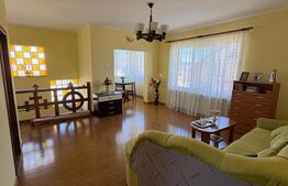 Oportunitate Investitie Ocna Sugatag