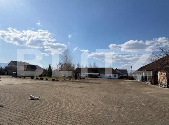 Teren de vânzare Ocna Sugatag - 191135TV | BLITZ Baia Mare | Poza5