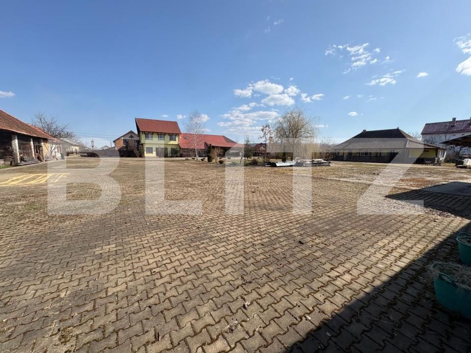 Teren de vânzare Ocna Sugatag - 191135TV | BLITZ Baia Mare | Poza2