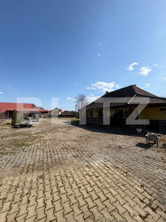 Teren de vânzare Ocna Sugatag - 191135TV | BLITZ Baia Mare | Poza3