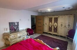 Casă individuală 200 mp, teren 4.5 ari, zona Vasile Alecsandri