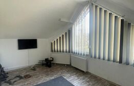 Casă individuală 200 mp, teren 4.5 ari, zona Vasile Alecsandri