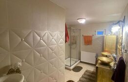 Casă individuală 200 mp, teren 4.5 ari, zona Vasile Alecsandri