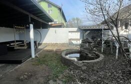 Casă individuală 200 mp, teren 4.5 ari, zona Vasile Alecsandri