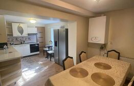 Casă individuală 200 mp, teren 4.5 ari, zona Vasile Alecsandri