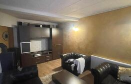 Casă individuală 200 mp, teren 4.5 ari, zona Vasile Alecsandri