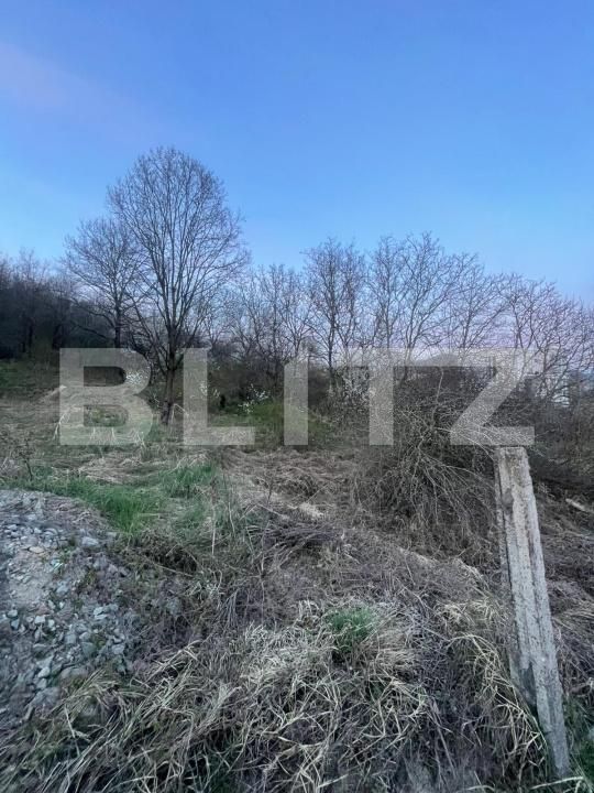 Teren de vânzare Independentei - 191231TV | BLITZ Baia Mare | Poza2