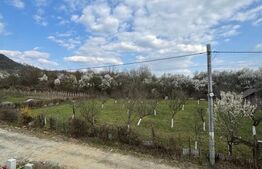 Casă semifinisată Tăuții Măgherăuș, 136 mp, teren 19 ari