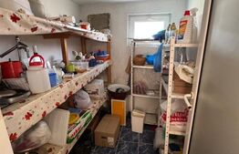 Casă P+1 Coltău, 120 mp utili, 33.5 ari, garaj, mobilată