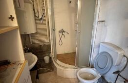 Casă P+1 Coltău, 120 mp utili, 33.5 ari, garaj, mobilată