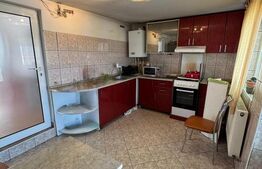 Casă P+1 Coltău, 120 mp utili, 33.5 ari, garaj, mobilată