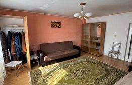 Casă P+1 Coltău, 120 mp utili, 33.5 ari, garaj, mobilată
