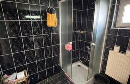 Casă P+1 Coltău, 120 mp utili, 33.5 ari, garaj, mobilată