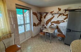 Casă P+1 Coltău, 120 mp utili, 33.5 ari, garaj, mobilată