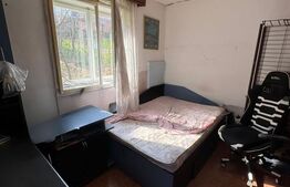 Casă P+1 Coltău, 120 mp utili, 33.5 ari, garaj, mobilată