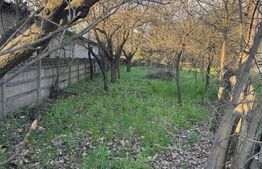 Teren 7 ari, PUZ aprobat, utilități, str. 8 Martie