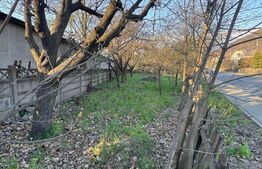 Teren 7 ari, PUZ aprobat, utilități, str. 8 Martie