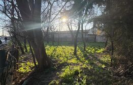 Teren 7 ari, PUZ aprobat, utilități, str. 8 Martie