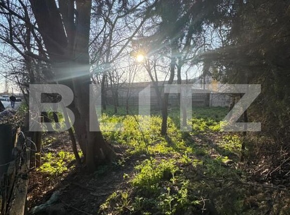 Teren de vânzare Grivitei - 191530TV | BLITZ Baia Mare | Poza1