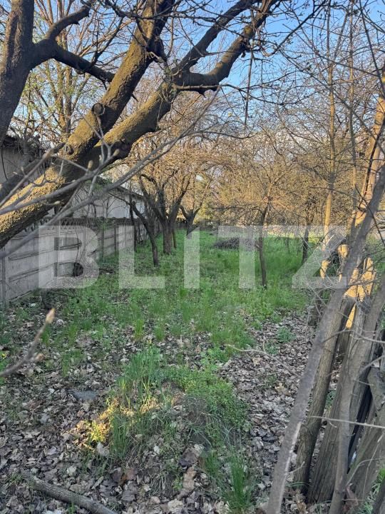 Teren de vânzare Grivitei - 191530TV | BLITZ Baia Mare | Poza3