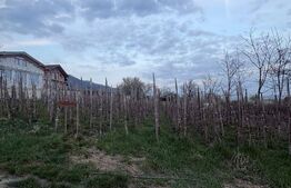 Teren de vanzare, 600 mp, zona Independentei 