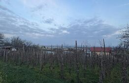 Teren de vanzare, 600 mp, zona Independentei 