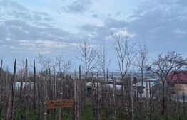 Teren de vanzare, 600 mp, zona Independentei 