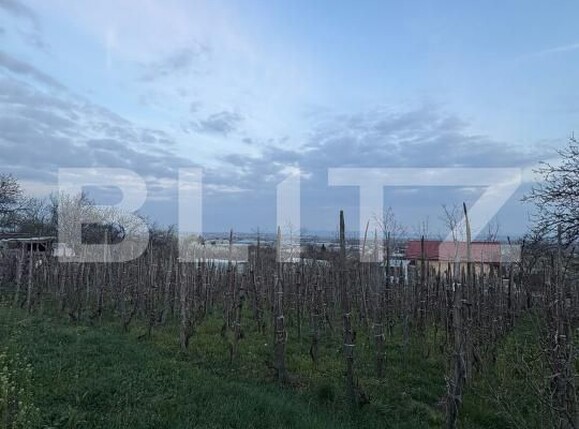 Teren de vânzare Independentei - 191537TV | BLITZ Baia Mare | Poza2