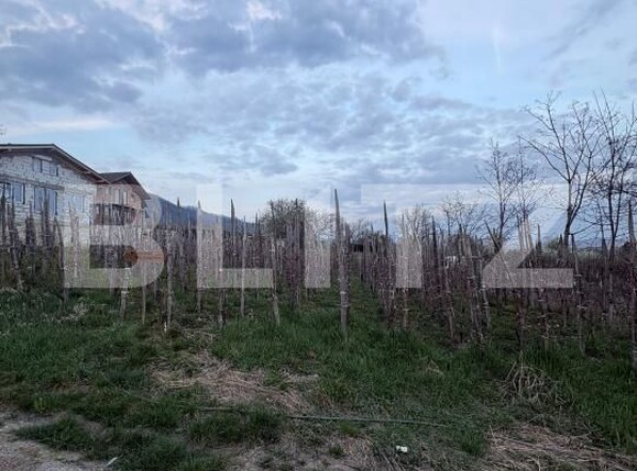 Teren de vânzare Independentei - 191537TV | BLITZ Baia Mare | Poza4