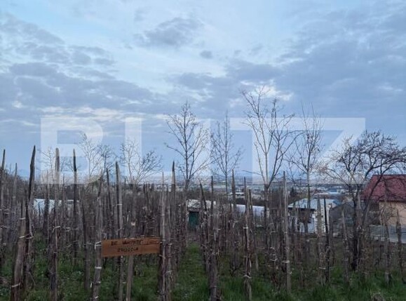 Teren de vânzare Independentei - 191537TV | BLITZ Baia Mare | Poza3