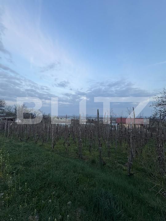 Teren de vânzare Independentei - 191537TV | BLITZ Baia Mare | Poza2