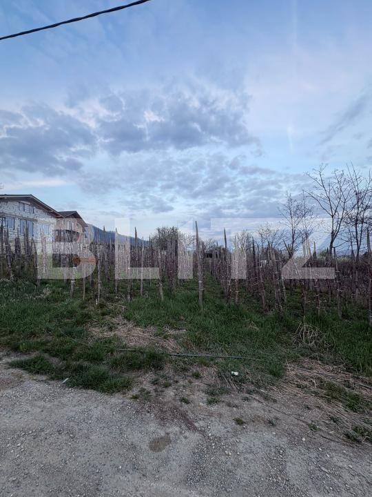 Teren de vânzare Independentei - 191537TV | BLITZ Baia Mare | Poza4