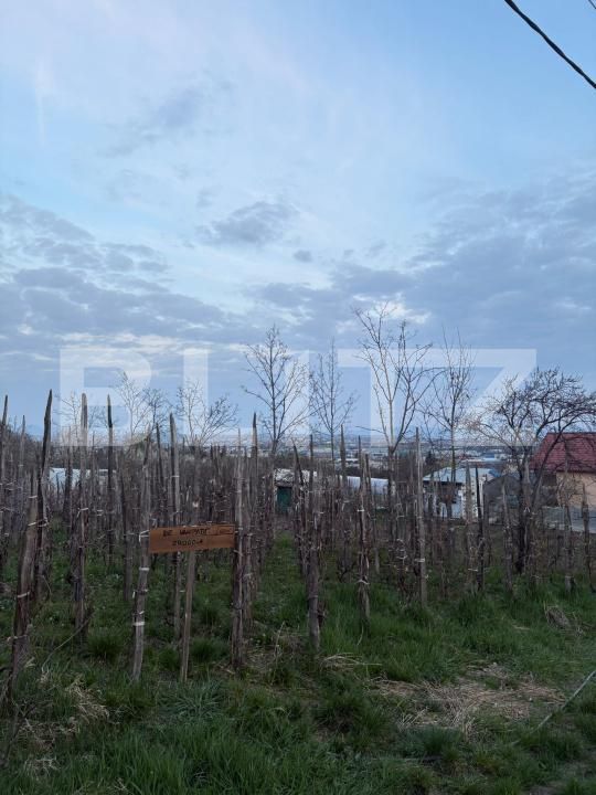 Teren de vânzare Independentei - 191537TV | BLITZ Baia Mare | Poza3